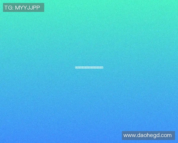 篮球明星归乡之旅重温青春岁月与家乡情怀
